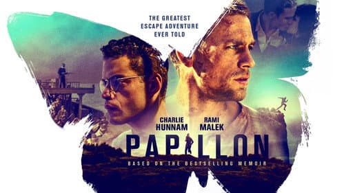 Papillon still