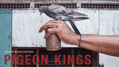 Pigeon Kings still