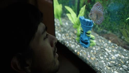 Notes from a Fish still