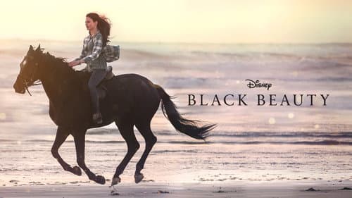 Black Beauty still