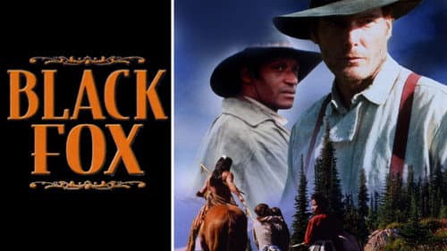 Black Fox still