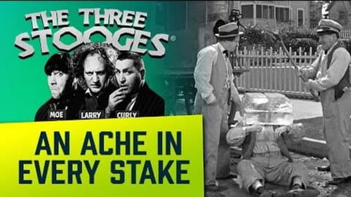 An Ache in Every Stake still
