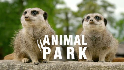 Animal Park still