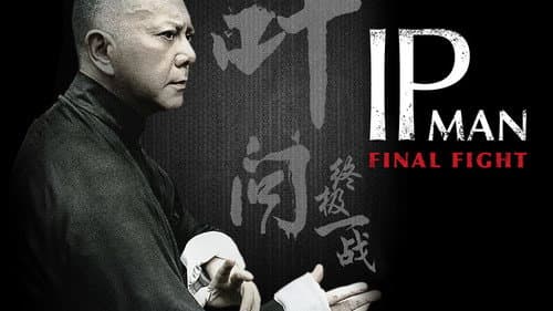 Ip Man: The Final Fight still