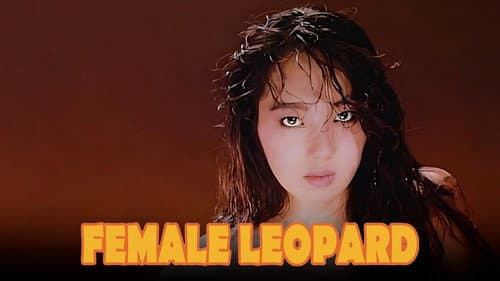 Female Leopard still