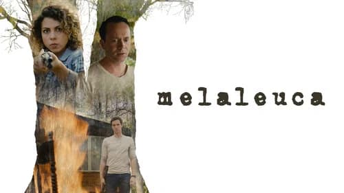 Melaleuca still