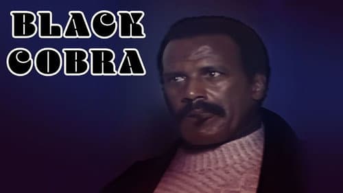 The Black Cobra still