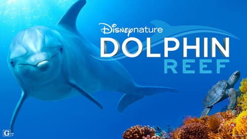 Dolphin Reef still