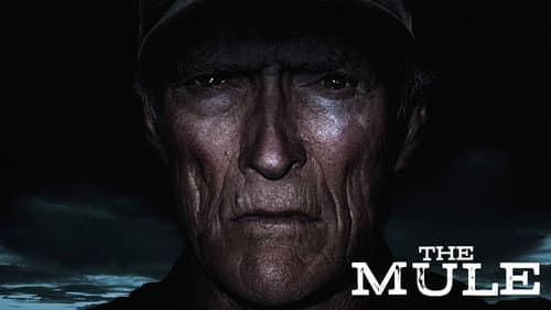The Mule still