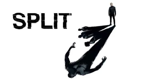 Split still