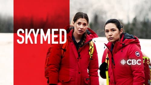 SkyMed still