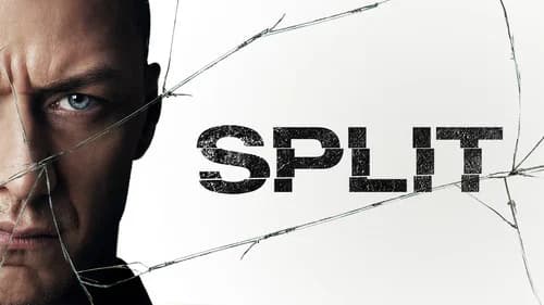 Split still