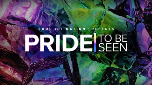 PRIDE: To Be Seen - A Soul of a Nation Presentation still