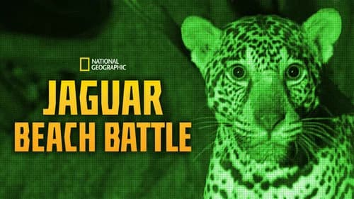 Jaguar Beach Battle still