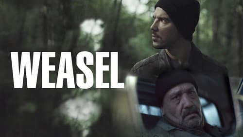 Weasel still