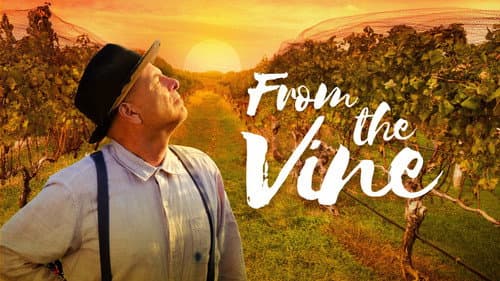 From the Vine still