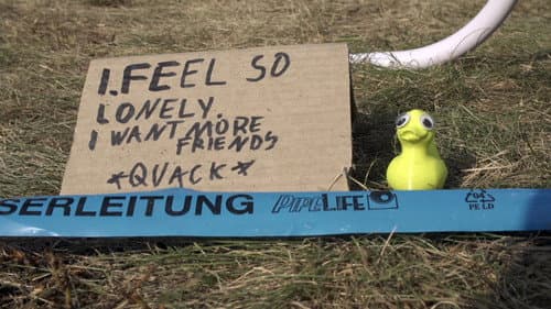 All Creatures Welcome still