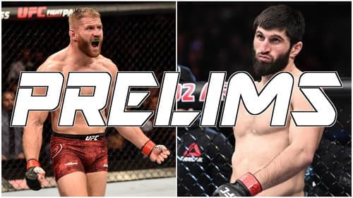 UFC 282: Blachowicz vs. Ankalaev still
