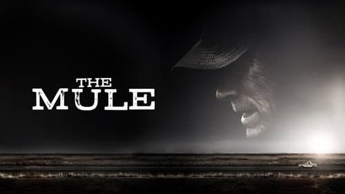 The Mule still