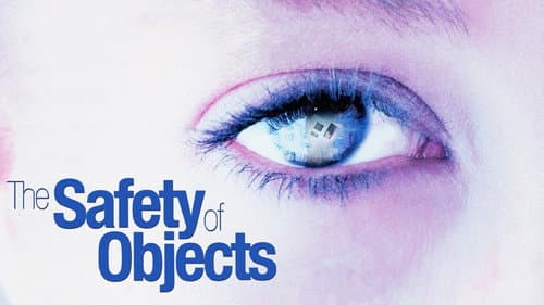 The Safety of Objects still