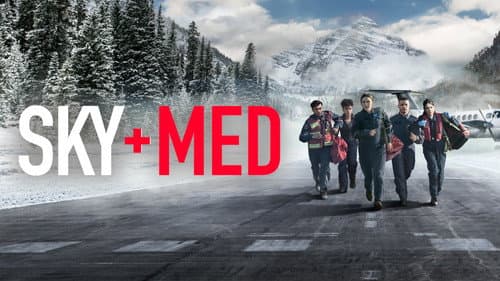 SkyMed still