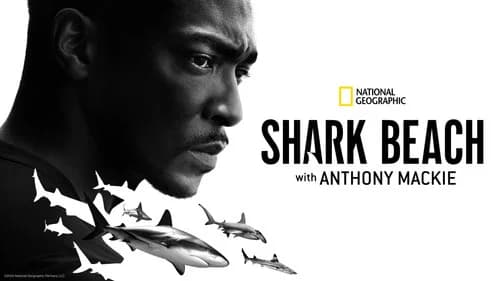 Shark Beach with Anthony Mackie still