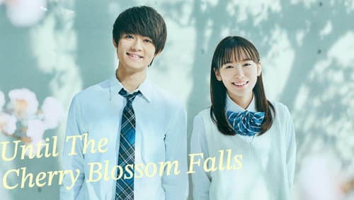 Until The Cherry Blossom Falls still