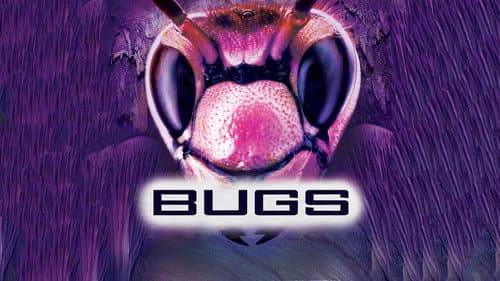 Bugs still