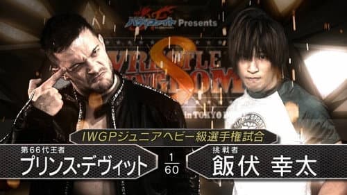 NJPW Wrestle Kingdom 8 still