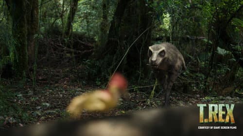 T. REX still