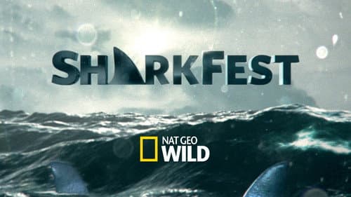 Sharkfest still