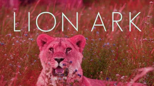 Lion Ark still