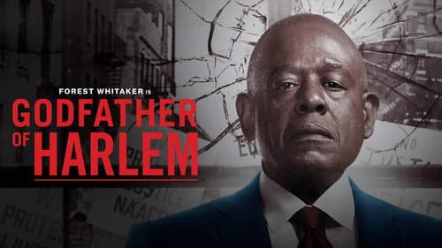 Godfather of Harlem still