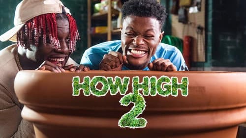 How High 2 still