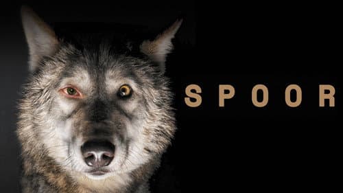 Spoor still