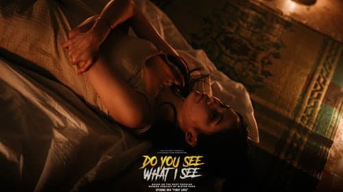Do You See What I See still