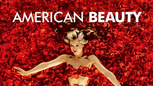 American Beauty still