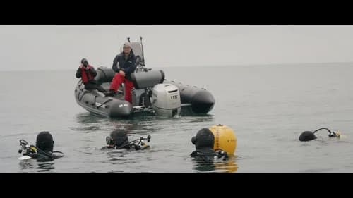 Frog Fathers: Lessons from the Normandy Surf still