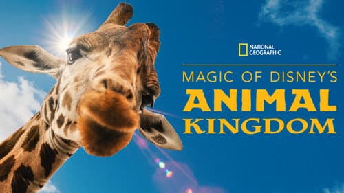 Magic of Disney's Animal Kingdom still