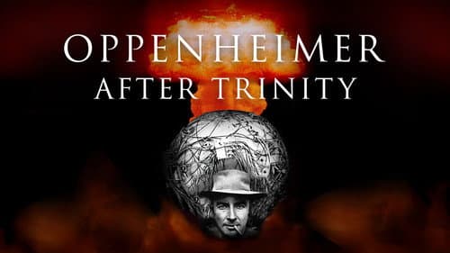 Oppenheimer After Trinity still