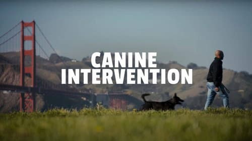 Canine Intervention still