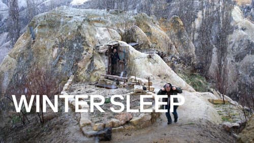 Winter Sleep still