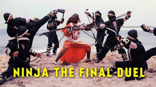 Ninja the Final Duel still