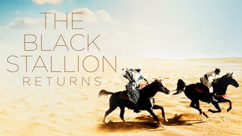 The Black Stallion Returns still