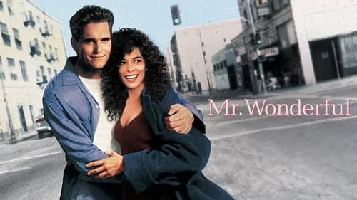 Mr. Wonderful still