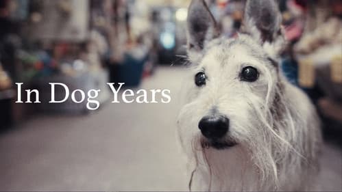 In Dog Years still