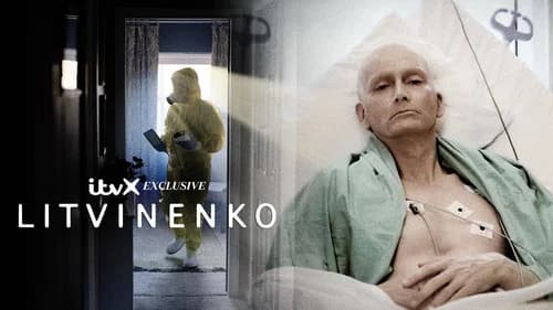 Litvinenko still