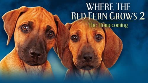 Where The Red Fern Grows Part 2 still