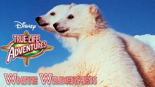 White Wilderness still