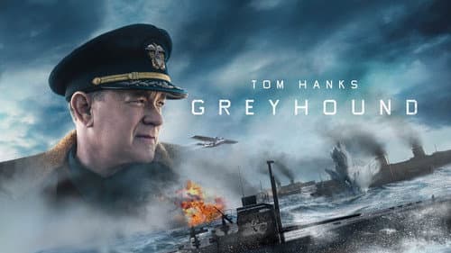Greyhound still